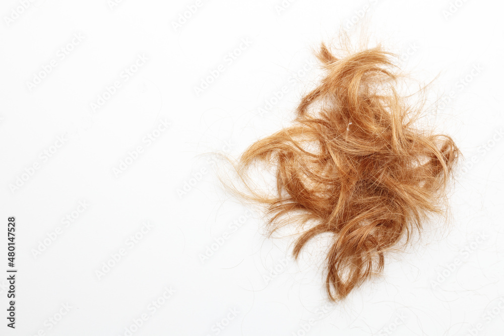 Cut female red hair lies on a white background. Haircut concept