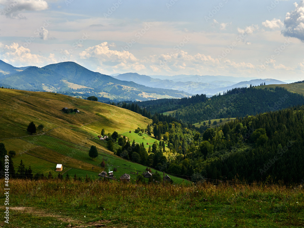 green summer landscape of Charpathian Mountains 