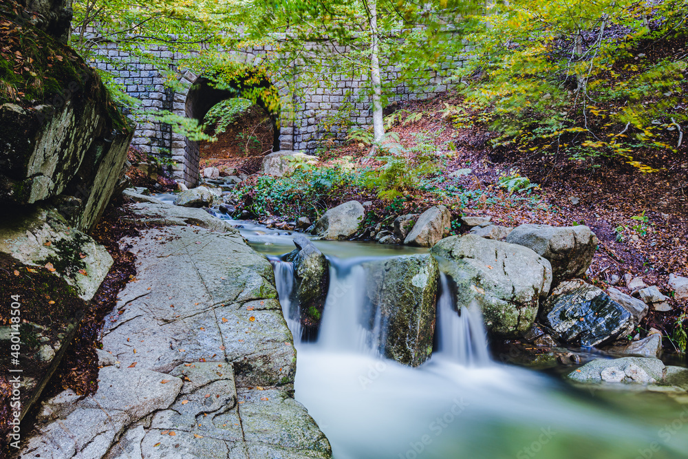 Fototapeta premium Beautiful stone bridge and waterfall in the woods