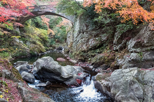 風景写真