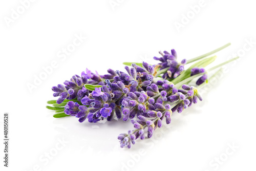 Fototapeta Naklejka Na Ścianę i Meble -  Aromatic Lavender flowers bundle on a white background. Isolated morning Lavender flowers close-up