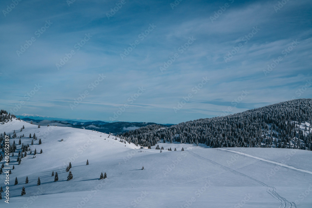 Winter sky landskype with frozen trees Winter sky landskype with frozen trees