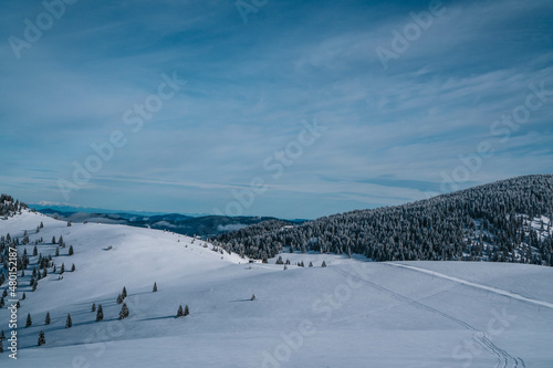 Winter sky landskype with frozen trees