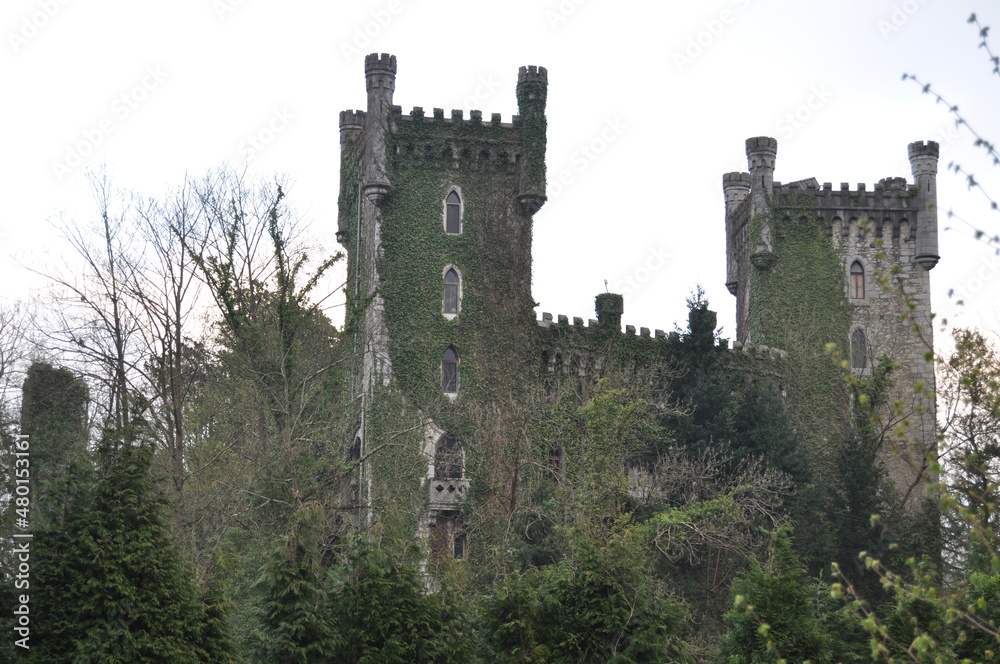 Castillo de Las Caldas o Castillo de Priorio