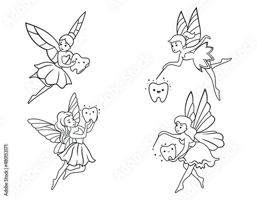 Set of tooth fairies. Collection of fairies with wings and tooth. Fairy tales creatures. Linear art. Vector illustration for children.
