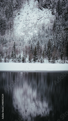 Nebelige Winterlandschaft mit Schnee in Bad Aussee in der Steiermark. Winterliche Spiegelung im   densee