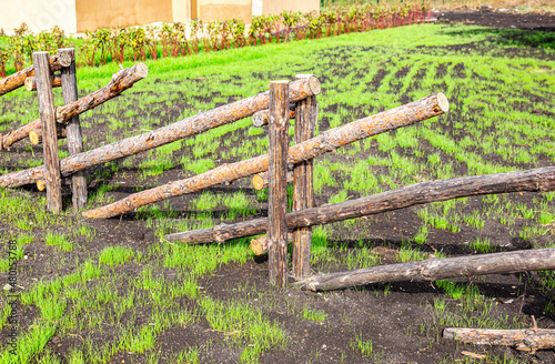 Handmade wooden fence from natural tree trunks photo