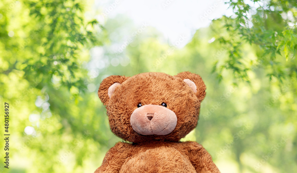 soft toys and childhood concept - brown teddy bear over green natural background soft toys and childhood concept - brown teddy bear over green natural background