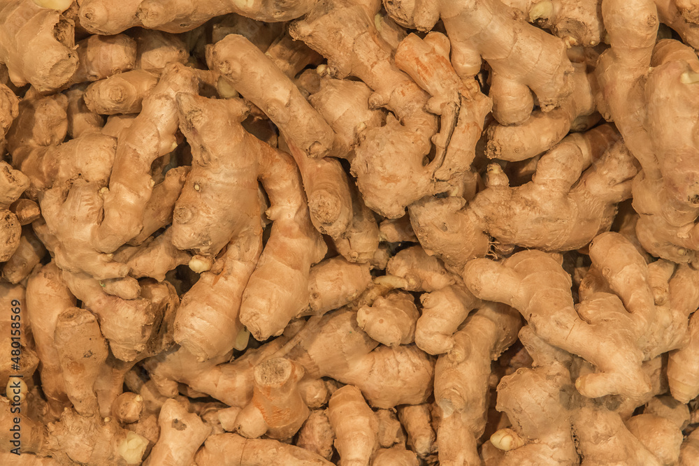 Ginger Roots Background Spices and Ingredients Vegetables Organic Plants Medicine Ginger Roots Background Spices and Ingredients Vegetables Organic Plants Medicine