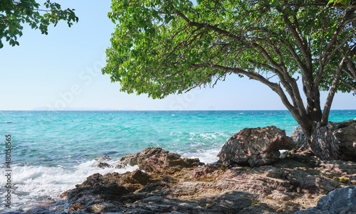 Tropical beach with trees and rocks on the island of La Koh Larn in Thailand .