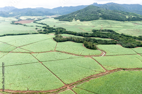 Aerial view, sugar cane fields at Grand Port, ile Chat, Mauritius, Africa photo