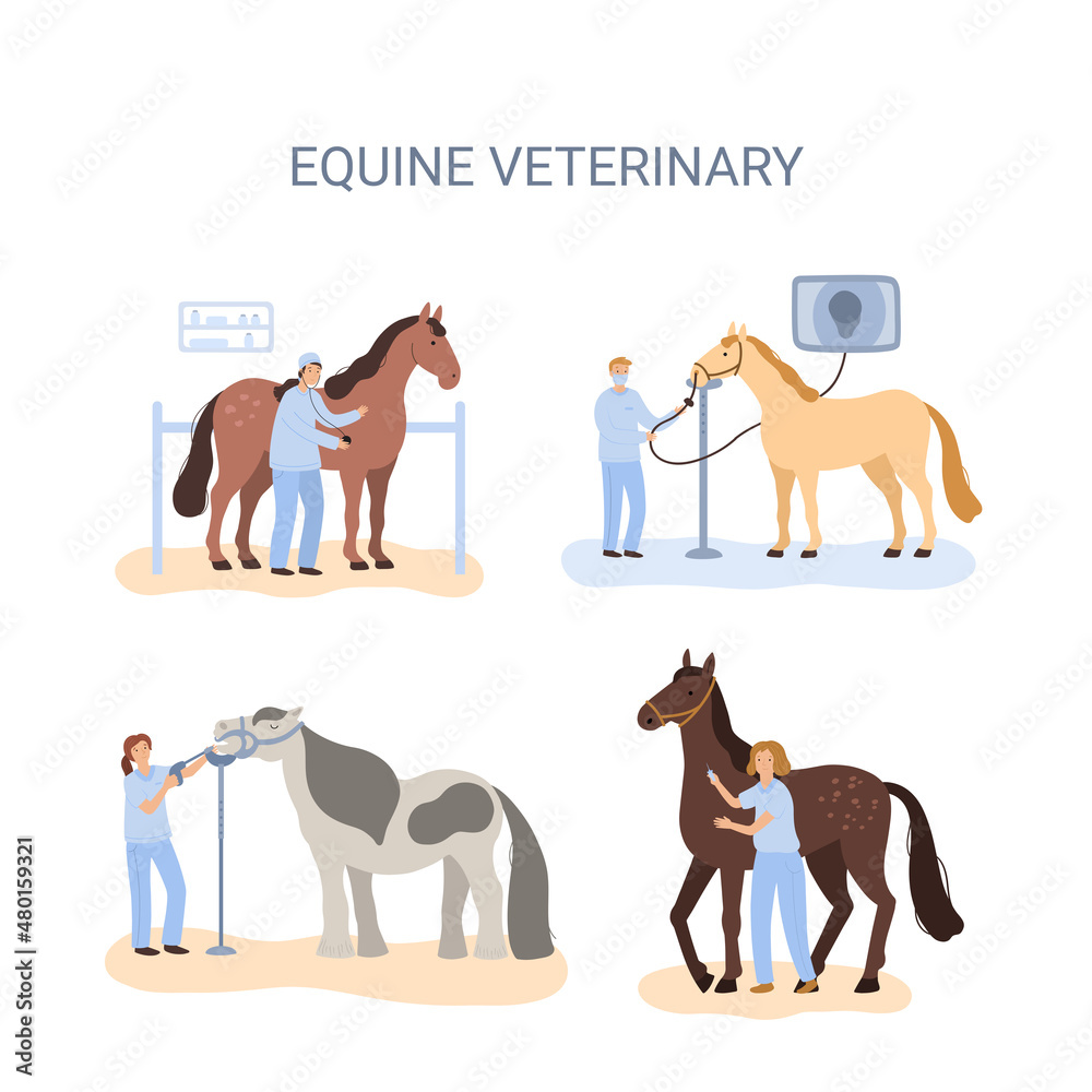 a vector concept of equine medical procedures