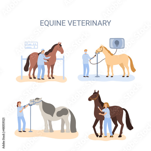 a vector concept of equine medical procedures