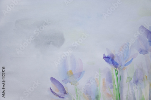 Crocuses on white snow fine art. Spring wedding flowers. Simple delicate background with space for text. Pastel colors wallpaper with copy space. Effortlessness concept.