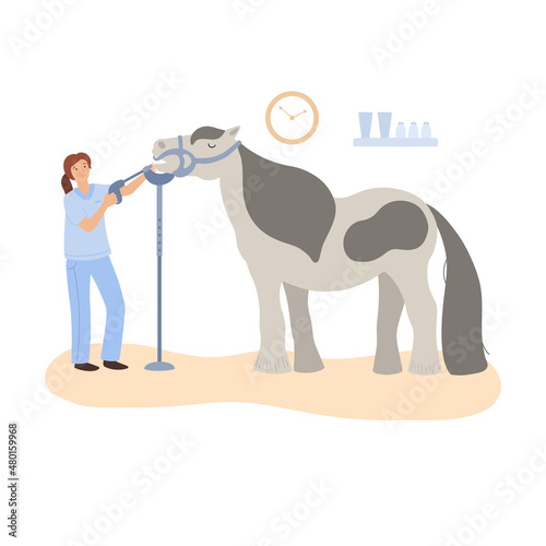 a vector image of horse dental care