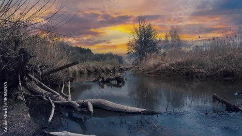 Beautiful sunset over the river in the Białowieża Primeval Forest

