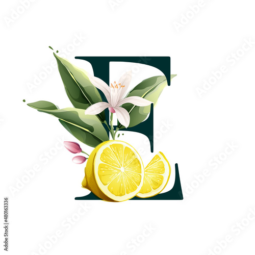 E letter logo with lemons in vector watercolor style. Illustration of green leaves, flowers, buds, and branches.