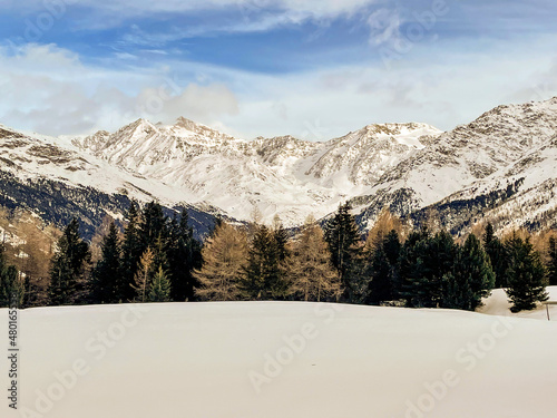 snow covered mountains