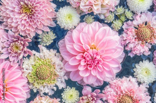 ピンクの花手水