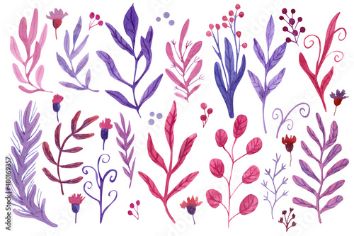 Set with beautiful flowers, leaves and berries for floral design. Hand painted watercolor illustration isolated on white. Great for wedding, Valentine's day cards. Lilac, purple and red colors.
