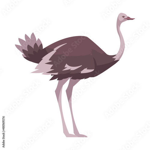 Ostrich Flat Icon