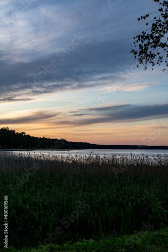 sunset on the summer lake  with beautiful shadows  lakes grass  trees and warm  blue sky