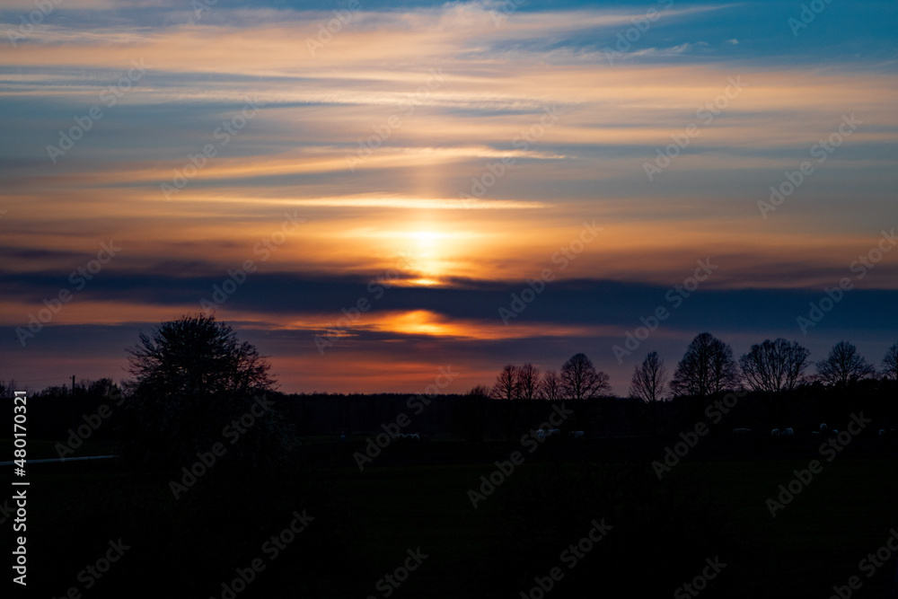 Amazing orange sunset over the threes in the summer