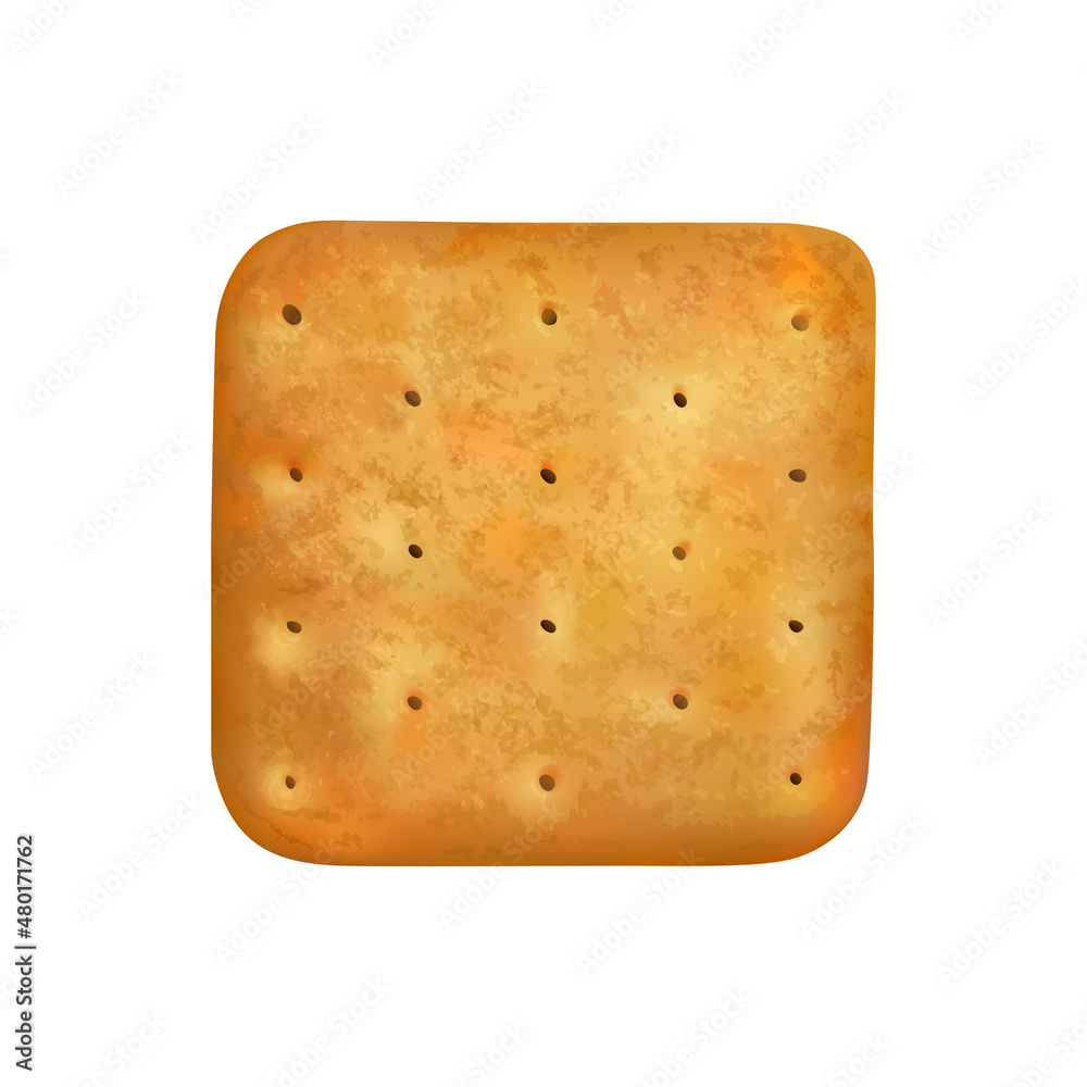 Realistic Cracker Illustration Realistic Cracker Illustration