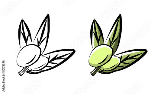 Olive tree branch flat green icon isolated on white food cartoon vector illustration sketch