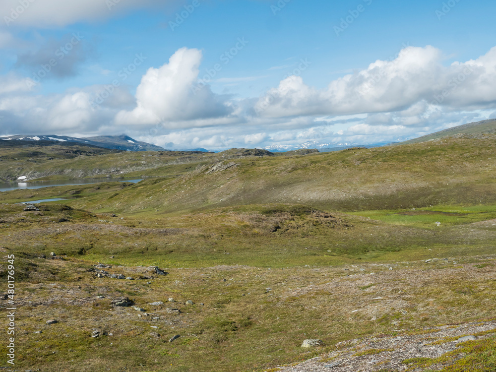 Beatiful northern artic landscape, tundra in Swedish Lapland with blue Duottar lake, green hills and mountains at Padjelantaleden hiking trail. Summer day, blue sky, white clouds
