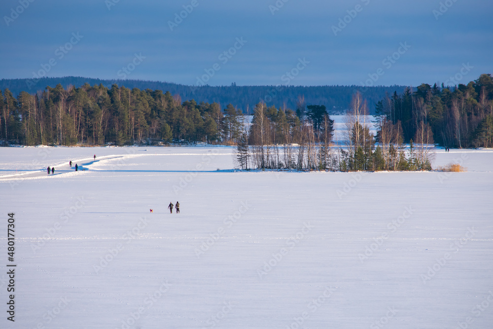 People and Pets Walking on Frozen Lake. People and some pets walk on a frozen lake during a cold but sunny winter day in Finland. People and Pets Walking on Frozen Lake. People and some pets walk on a frozen lake during a cold but sunny winter day in Finland.