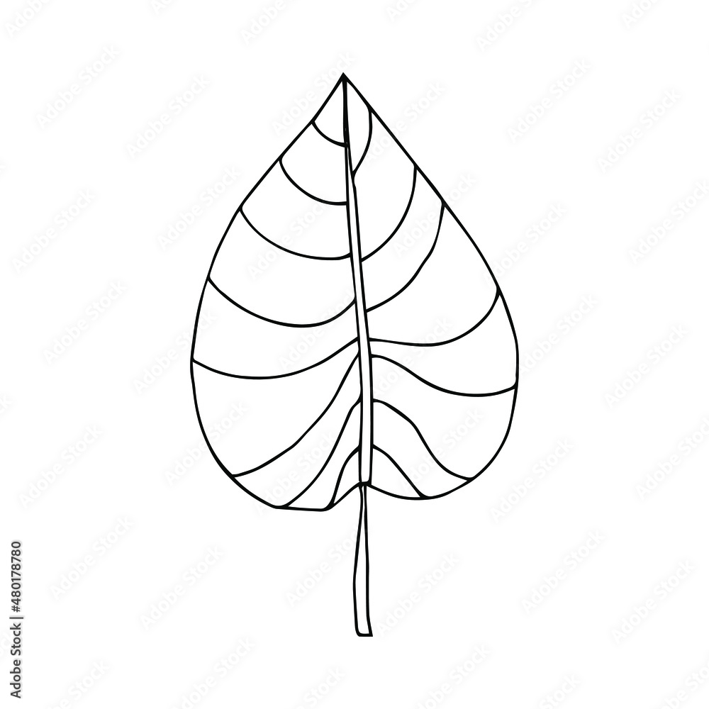 Tropical palm leave in sketch style, isolated vector illustration. Leave of palm tree in linear doodle style. Botanical minimalist print of exotic leave, sketch design. Tropical palm leave in sketch style, isolated vector illustration. Leave of palm tree in linear doodle style. Botanical minimalist print of exotic leave, sketch design.