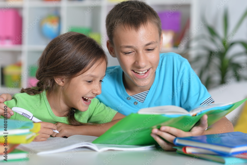 Brother and sister doing homework together Brother and sister doing homework together