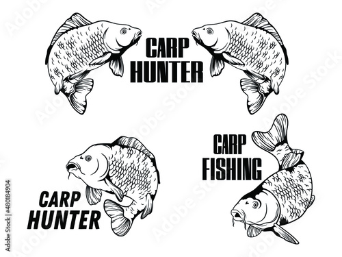 Set of carp fishing. Collection of the carp emblem with text. Marine design. Vector illustration for sport fishing. Logotype.