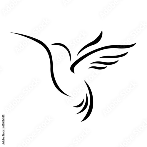 Bird of paradise silhouette drawn with black lines on a white background. Tropical bird hummingbird in a linear style. Logo for prints, tattoos, emblem for company or club design. Vector isolated 