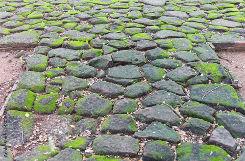 Green moss on old stone footpath