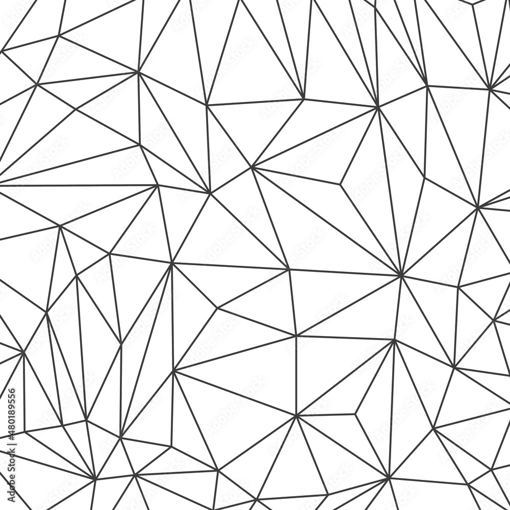 Fototapeta premium Abstract polygonal white background with lines. Triangular linear shapes texture. Vector illustration.