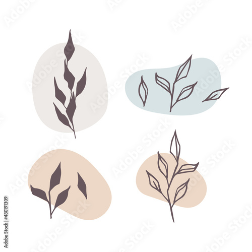 Doodle style vector illustration. Set of simple elements of flowers and plants. stylized flowers, twigs of plants, leaves. Hand drawn simple icons.