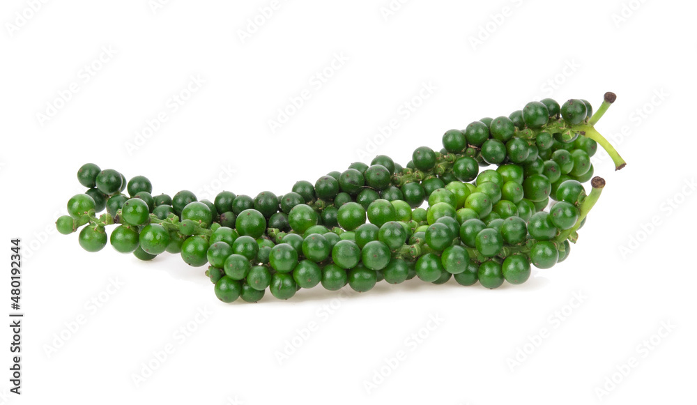 Fresh piper nigrum isolated on a white background. Fresh piper nigrum isolated on a white background.
