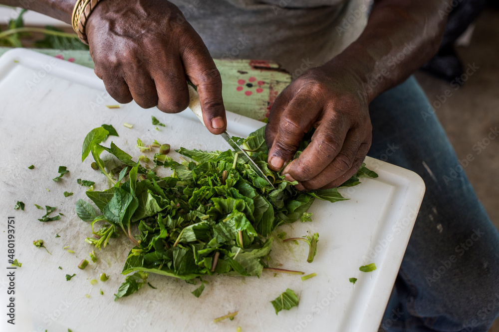 Urban farmer chopping freshly harvested Callaloo Urban farmer chopping freshly harvested Callaloo