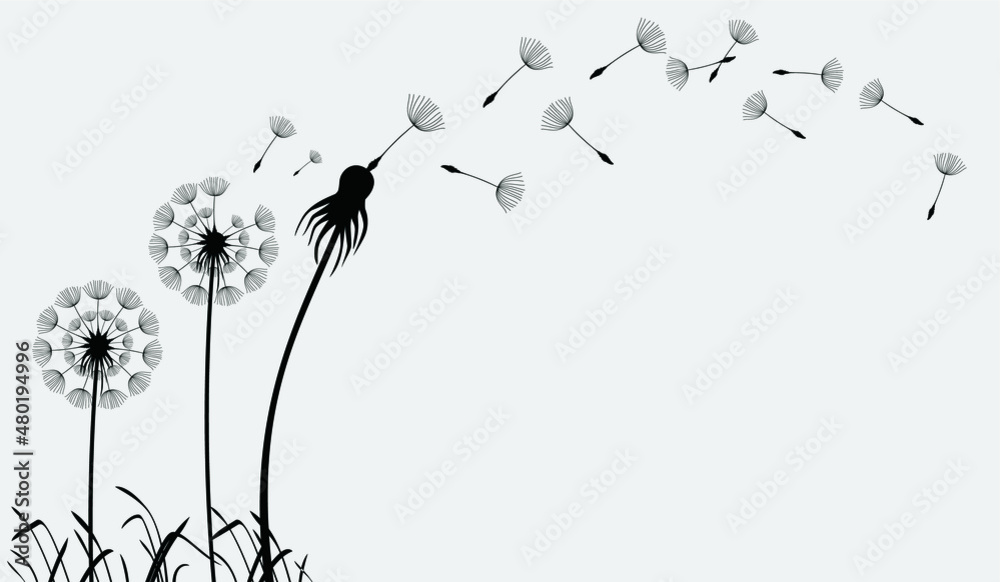 Naklejka premium Hand drawn dandelion flowers. Abstract floral summer posters, wall art isolated on white background, Creative vector illustration 