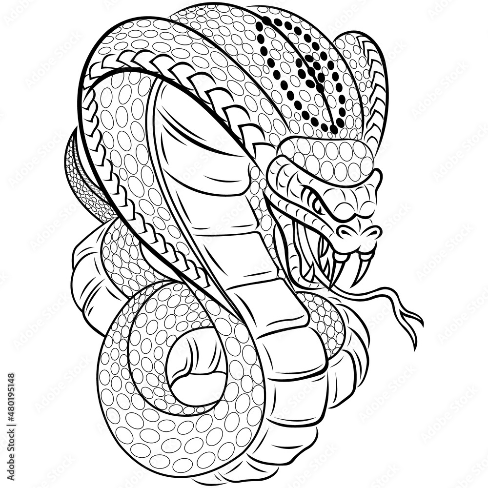 cobra snake drawing