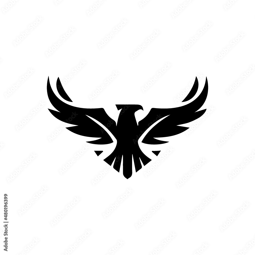 Fototapeta premium eagle with wings