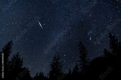 Orionids Meteor Shower Landscape