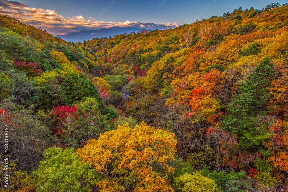 autumn colors in the mountains