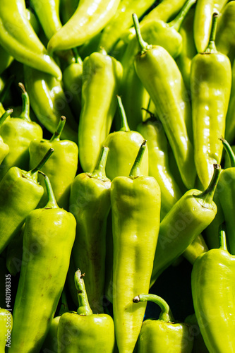 Heap of green anaheim peppers photo