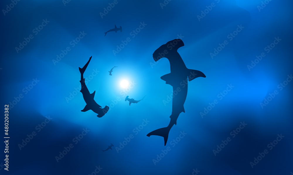 Silhouettes of sharks in blue water in the rays of the sun.