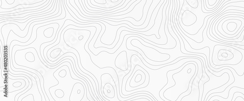 Topographic background and texture, monochrome image. 3D waves. Cartography Background, White wave paper curved reliefs abstract background,.
