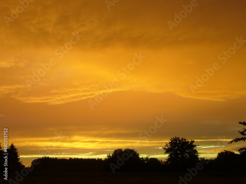 Yellow sunset © ArtDragon