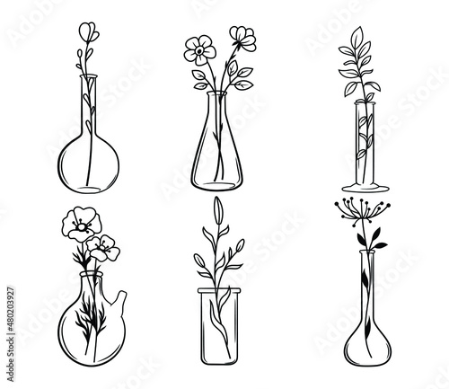 Set of flower in chemical flasks. Collection of floral botanical elements in laboratory beaker. Glasses vase with wildflowers. Home decoration. Vector illustration isolated on white background.